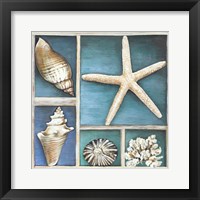 Collection of Memories II Framed Print