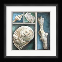 Collection of Memories V Framed Print