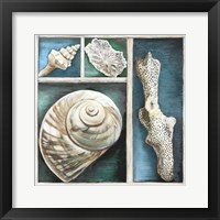 Collection of Memories V Framed Print