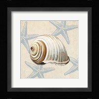 Ocean Gift III Framed Print