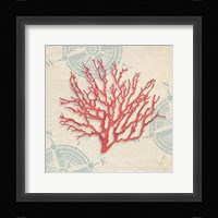 Ocean Gift IV Framed Print