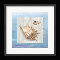 From the Sea III Fine Art Print