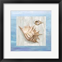 From the Sea III Framed Print