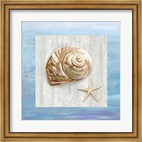 From the Sea IV Fine Art Print