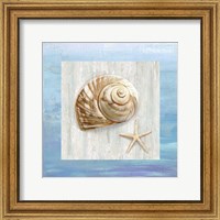 From the Sea IV Fine Art Print