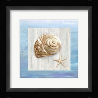 From the Sea IV Fine Art Print