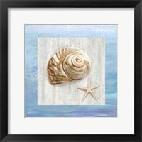 From the Sea IV Framed Print