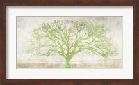 Green Tree Fine Art Print