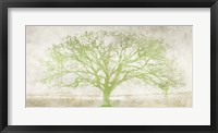 Green Tree Fine Art Print