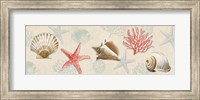 Gifts from the Ocean Fine Art Print