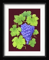 Grapes Burgundy Fine Art Print