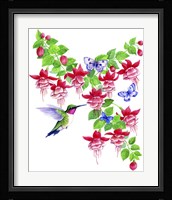Hummingbird Hibiscus Fine Art Print