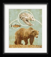 Bear Country Fine Art Print