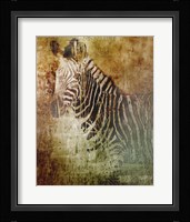 Africa Zebra Fine Art Print