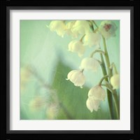Lily of the Valley Fine Art Print