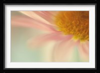 Whisper Fine Art Print