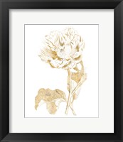 Gilded Botanical VII Fine Art Print