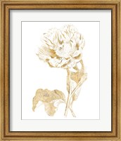 Gilded Botanical VII Fine Art Print