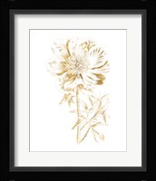Gilded Botanical VIII Framed Print