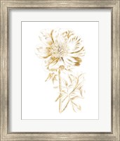 Gilded Botanical VIII Fine Art Print