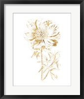 Gilded Botanical VIII Fine Art Print
