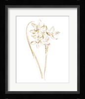 Gilded Botanical IV Framed Print