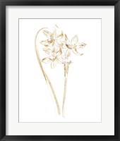 Gilded Botanical IV Framed Print