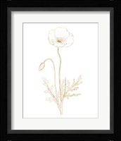 Gilded Botanical I Framed Print