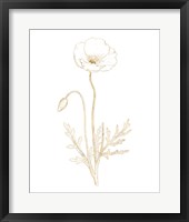 Gilded Botanical I Framed Print