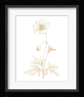 Gilded Botanical II Framed Print