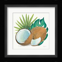 Coconut Palm V Framed Print