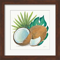 Coconut Palm V Fine Art Print