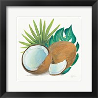 Coconut Palm V Framed Print