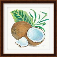 Coconut Palm II Fine Art Print