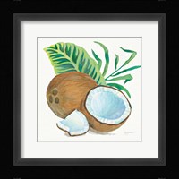 Coconut Palm II Framed Print