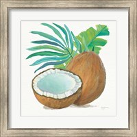 Coconut Palm III Fine Art Print