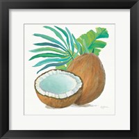 Coconut Palm III Framed Print