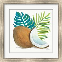 Coconut Palm IV Fine Art Print