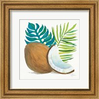 Coconut Palm IV Fine Art Print