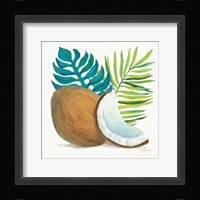 Coconut Palm IV Framed Print