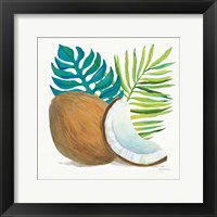 Coconut Palm IV Framed Print