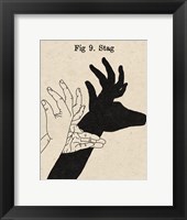 The Art of Shadows IX Framed Print