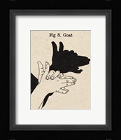 The Art of Shadows VIII Framed Print