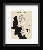 The Art of Shadows VI Framed Print