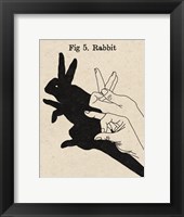 The Art of Shadows V Framed Print