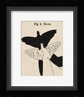 The Art of Shadows IV Framed Print