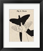 The Art of Shadows IV Framed Print