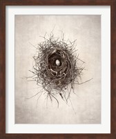 Nest I Fine Art Print