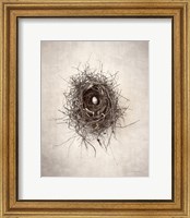 Nest I Fine Art Print