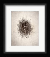 Nest I Framed Print
